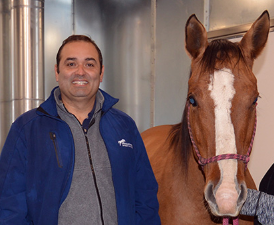 A man wearing a blue jacket stands smiling next to a brown horse